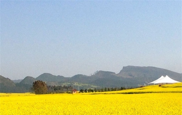 云南罗平航空房车露营地 体验欧美房车露营生活方式