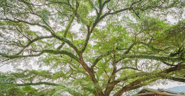 理想的旅行方式 开着房车去体验侗族人家的生活
