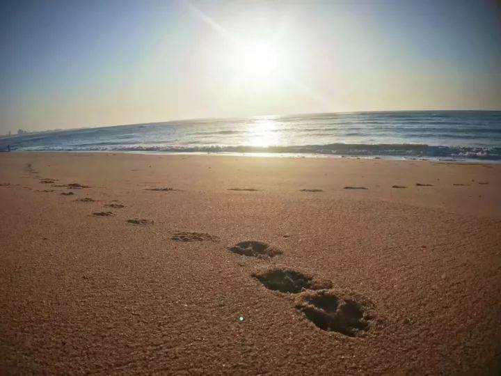 房车旅行人生的又一场修行