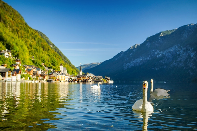 房车旅行让你意想不到的15个好处