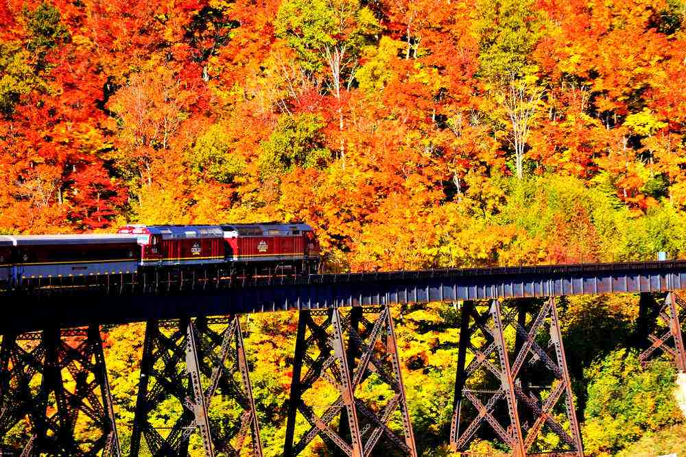 房车季节性度假小诀窍