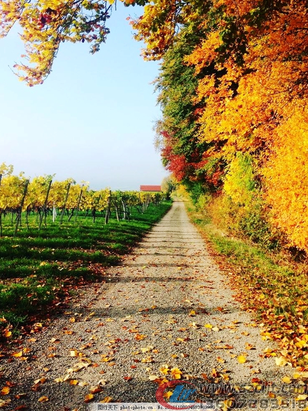 花甲之年的大叔要用木头造“房车”