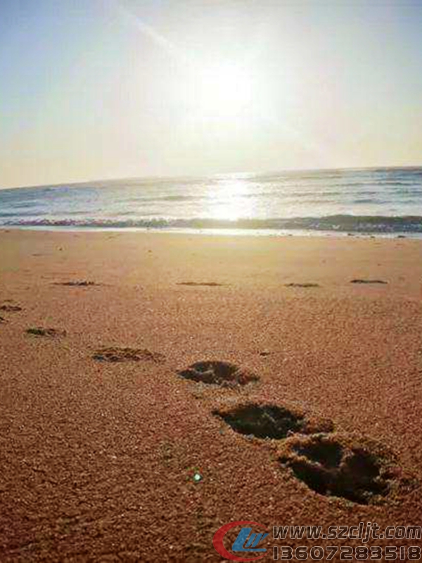 花甲之年的大叔要用木头造“房车”