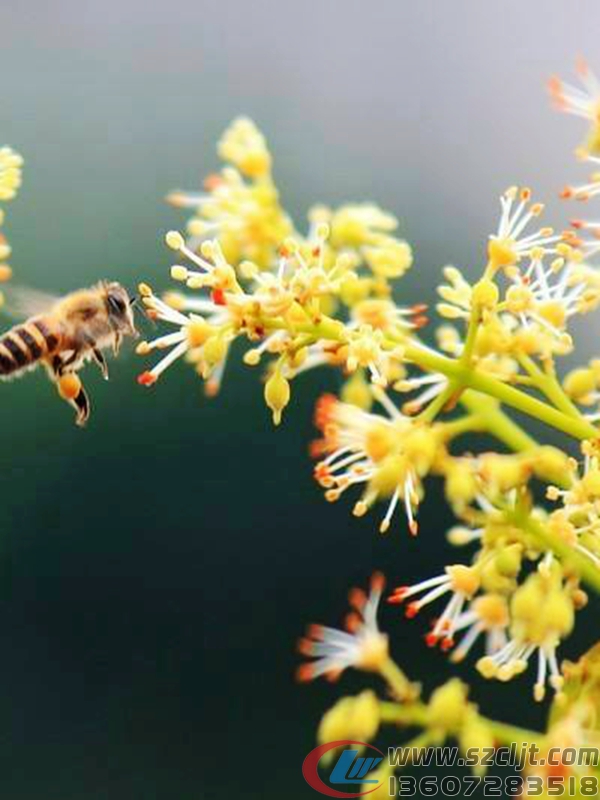 看完这些，你会更的了解房车，不再是房车小白
